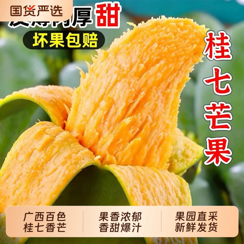 广西百色桂七芒果净重5斤
