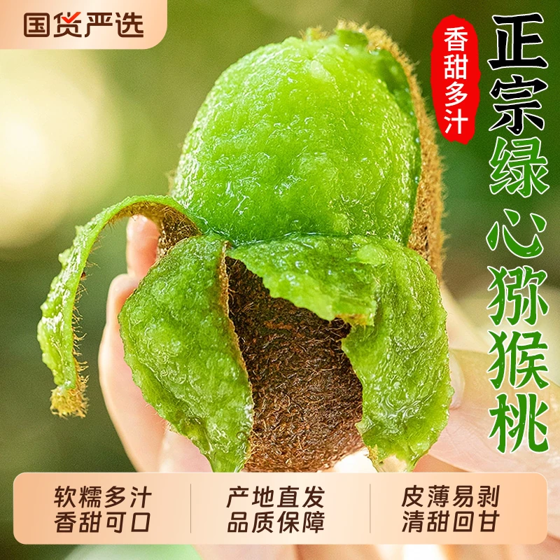 正宗翠香！绿心猕猴桃15枚/箱