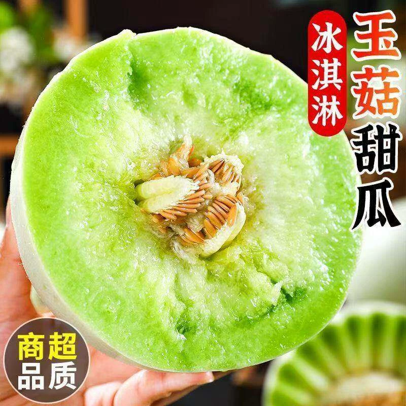海南玉菇甜瓜冰淇淋新鲜水果蜜瓜香瓜甜瓜现摘现发正宗整箱包邮