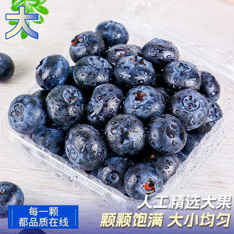 现摘蓝莓鲜果花香蓝莓野生蓝莓新鲜水果怡颗梅l25大果整箱顺丰