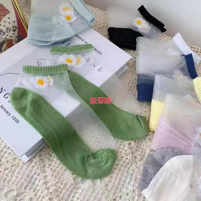 6.9元包邮！小雏菊玻璃丝棉袜10双