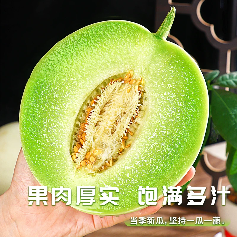正宗玉菇甜瓜冰激凌口感新鲜水果应季瓜香浓郁蜜瓜小香瓜整箱包邮