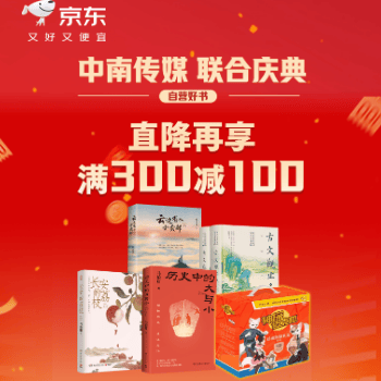 京东 中南盛典 满300减100