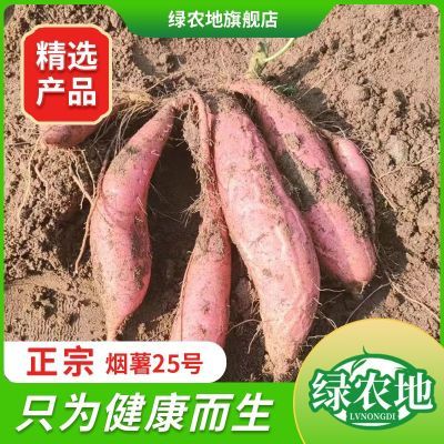 PDD热销产品汇总20点档更新2023/10/13
