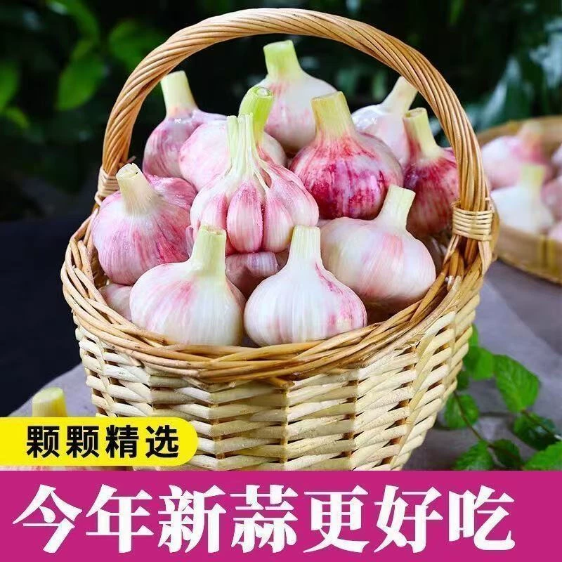 鲜蒜头：家家必备香脆新鲜