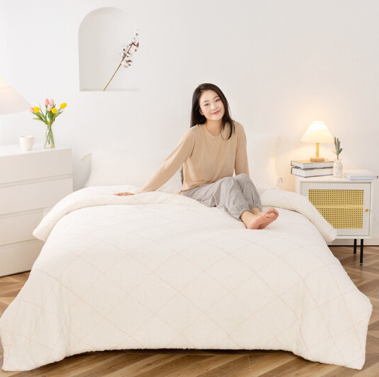 39.9元包邮！暖小姐 被子棉胎被褥子床垫被 180*220cm重约4斤