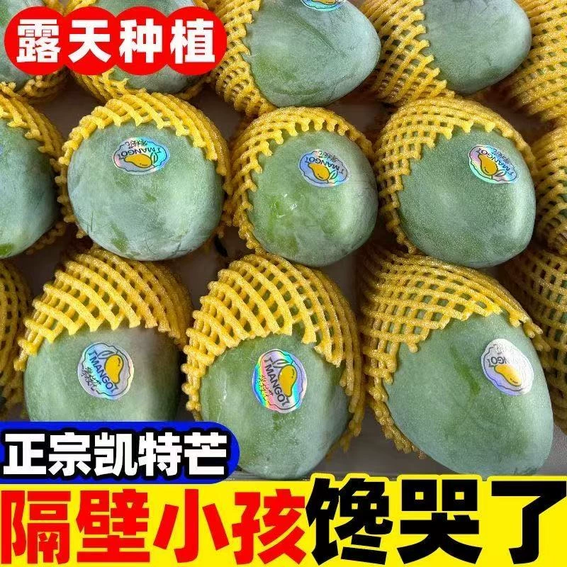 攀枝花凯特芒果4.5斤