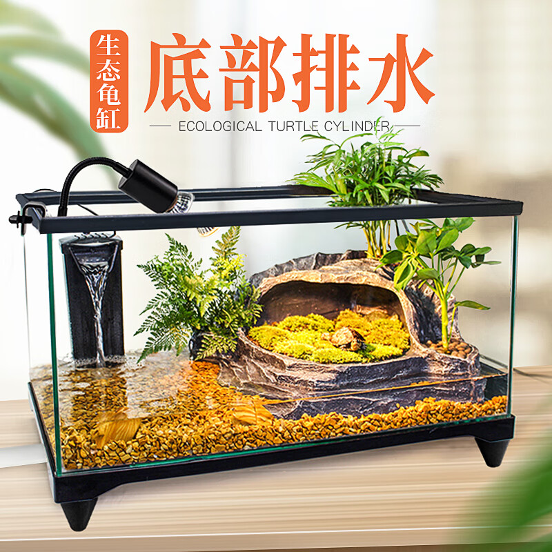 J东热销产品汇总20点档更新2026/02/08