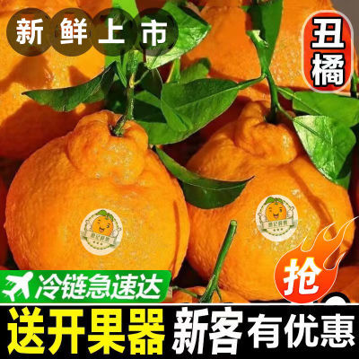 PDD热销产品汇总08点档更新2023/09/04