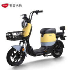 【新低】1799元包邮！五星钻豹电动车 48V24AH锂电池