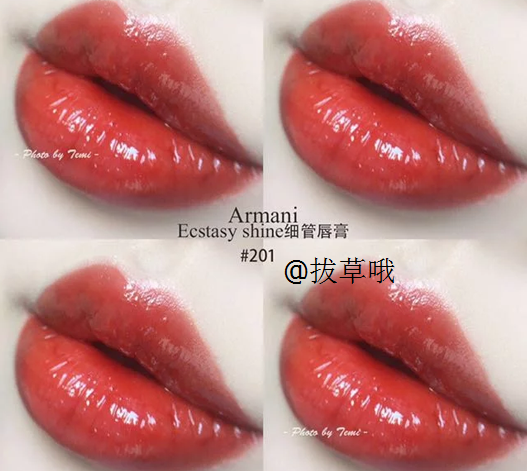 armani ecstasy shine 201