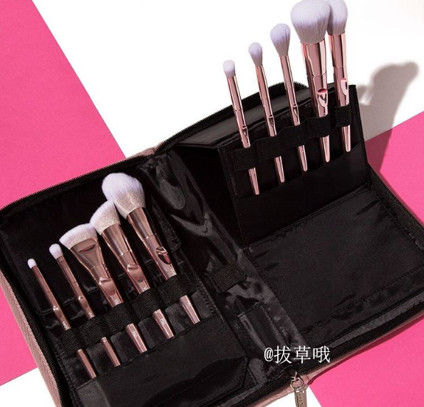 Wet N Wild 湿又野玫瑰金高阶版化妆刷10支套装 折后价 12 74 约元 拔草哦