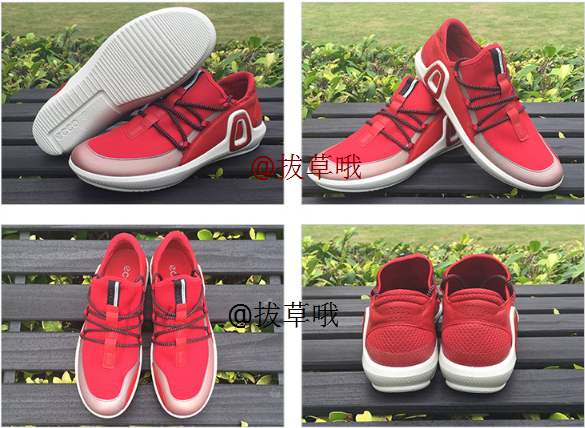 ecco intrinsic 3 2015