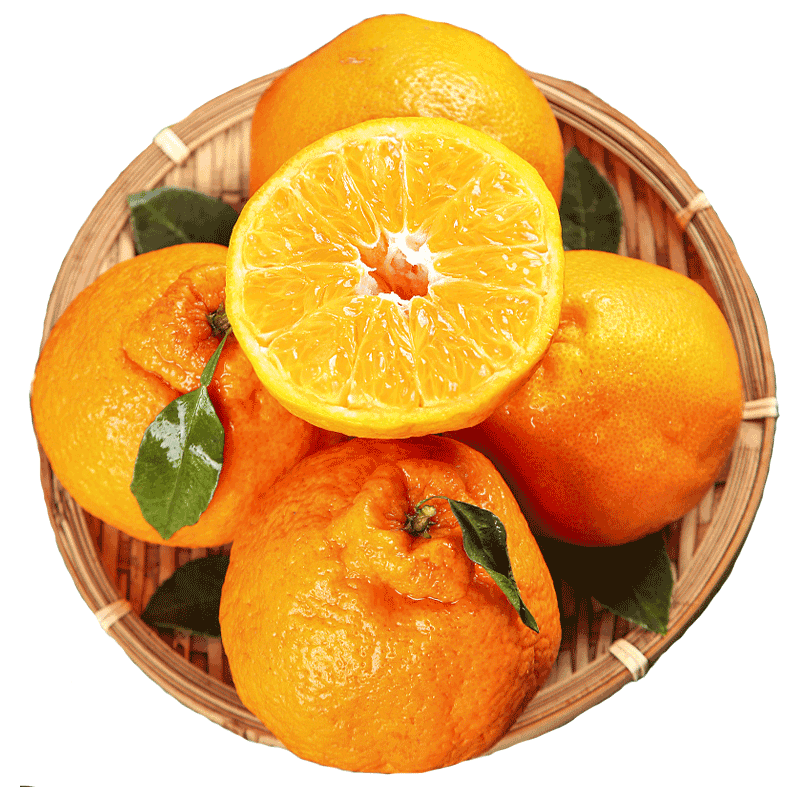 四川正宗春见耙耙柑5斤