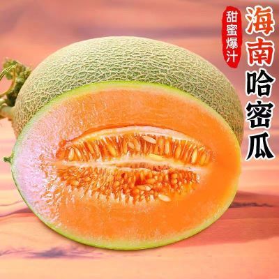 PDD热销产品汇总14点档更新2026/01/02