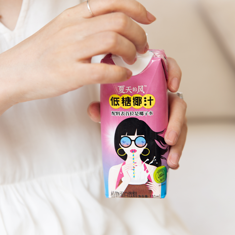 【夏天的风】网红低糖椰汁330mlX12瓶
