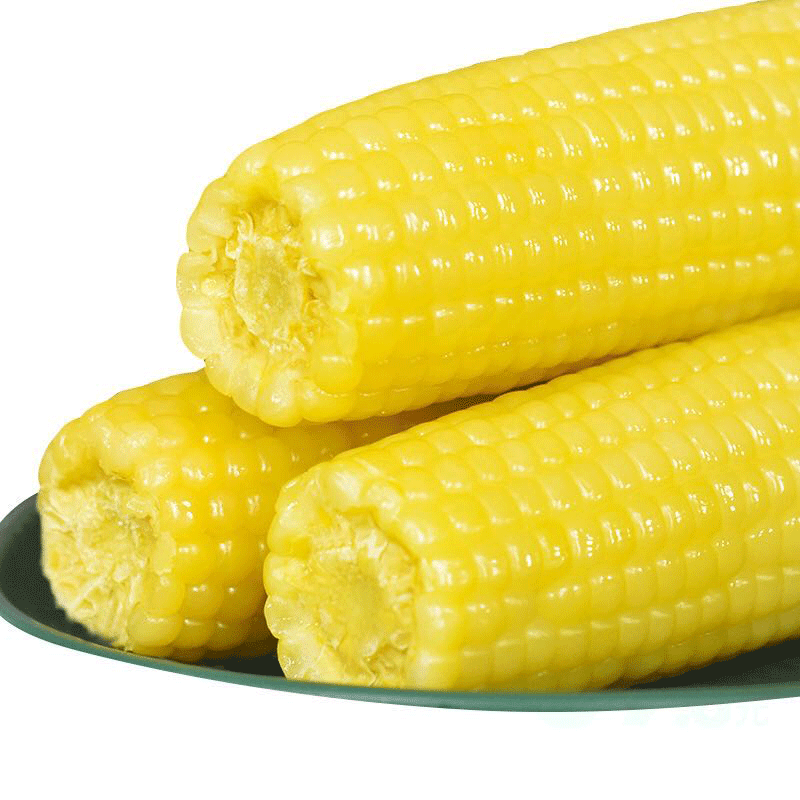 高天深粮 甜糯黄玉米220g*8根