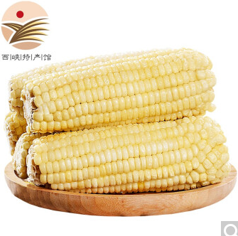 12.4元！静益乐源 甜糯白玉米棒 200g*5支（需拍2件）