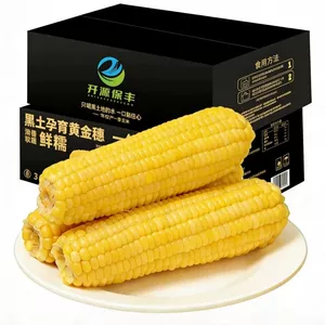 开源保丰东北黄糯玉米新鲜大棒真空装现摘黏糯粗粮代餐早餐糯玉米