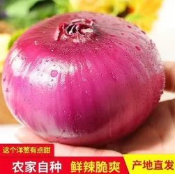 7.9元包邮！现挖紫皮洋葱10斤（好评商家返2元）
