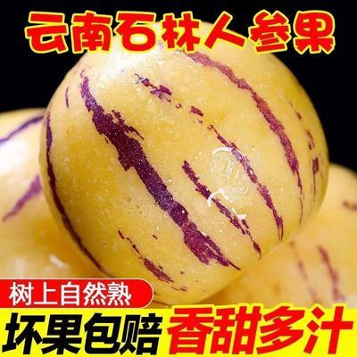 PDD热销产品汇总14点档更新2025/12/29