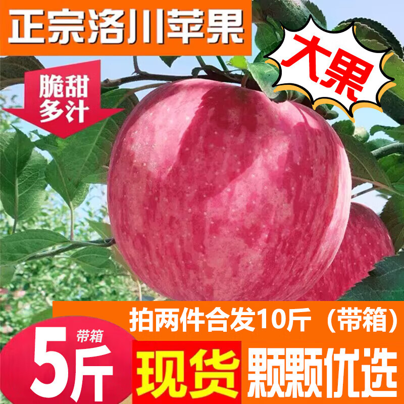 J东热销产品汇总02点档更新2024/01/16