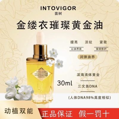 PDD热销产品汇总08点档更新2026/04/01