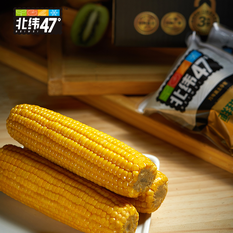 北纬47度鲜甜玉米1.2kg