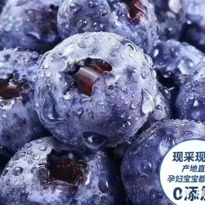 PDD热销产品汇总20点档更新2026/01/25