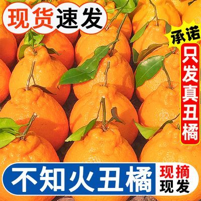 PDD热销产品汇总20点档更新2024/03/05
