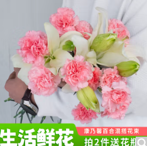 14.9元包邮！钟爱鲜花  康乃馨20朵+百合5朵