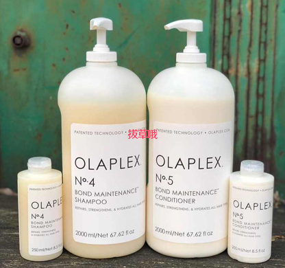 低価格で大人気の OLAPLEX no4.no5 2000ml 2本付 シャンプー - mgptt.ma