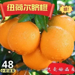17.9元包邮！正宗纽荷尔脐橙 9-10斤