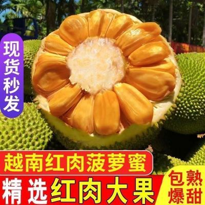 PDD热销产品汇总08点档更新2023/11/25
