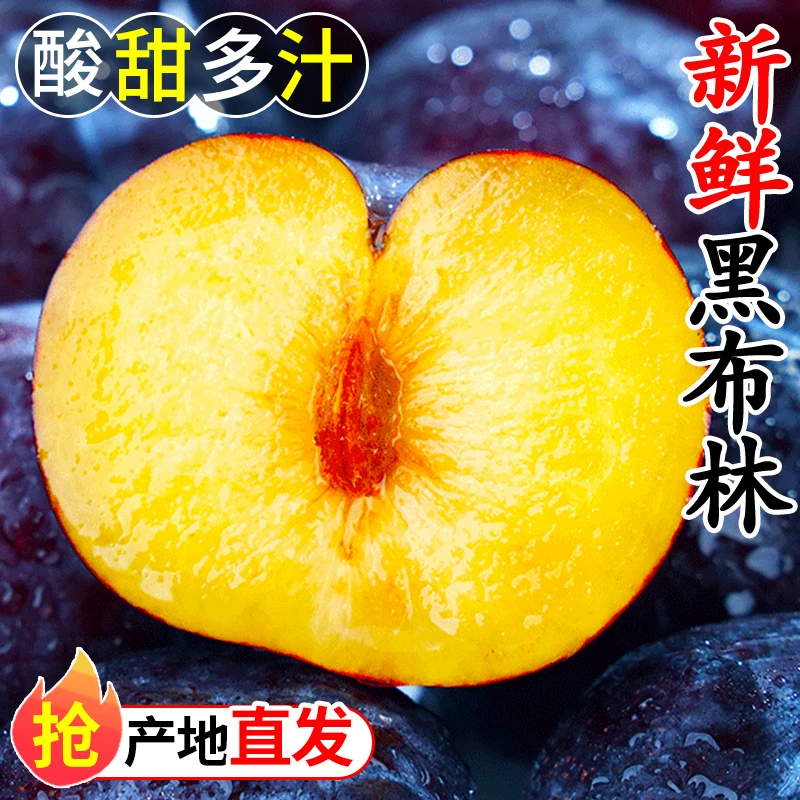 下拉16！正宗新鲜黑布林李子4.5斤
