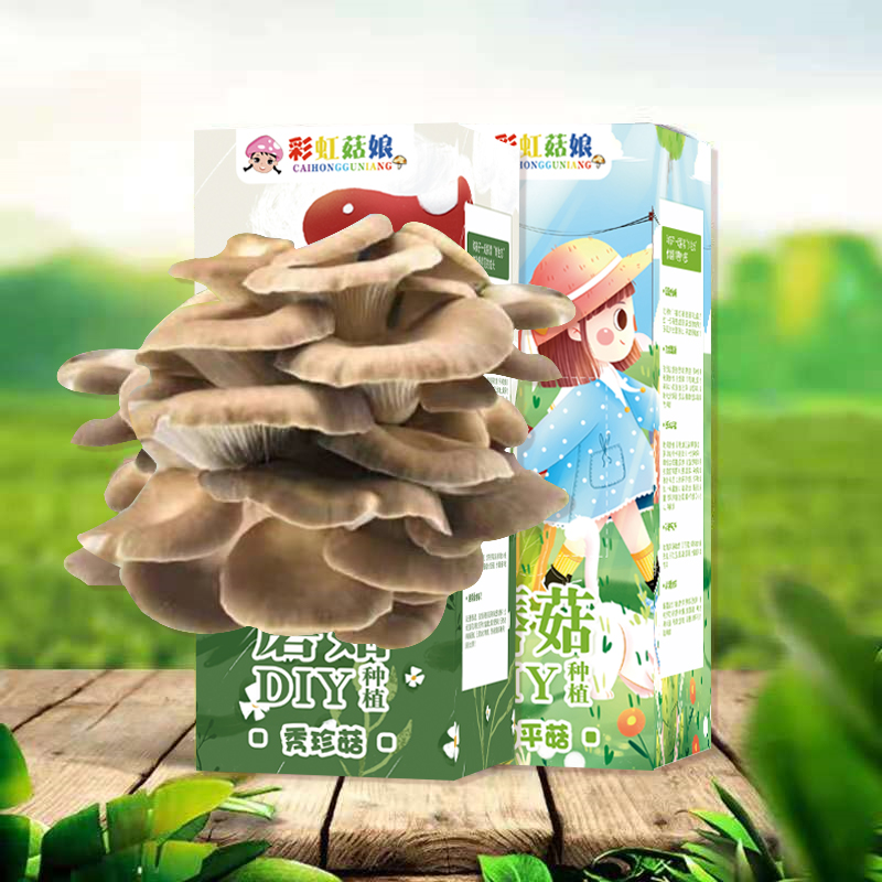 【送喷壶】魔菇精灵种植包两盒