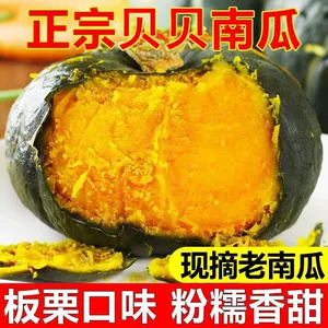 正宗贝贝南瓜板栗味贝贝小南瓜栗面老瓜正宗正品新鲜婴儿粉糯香甜