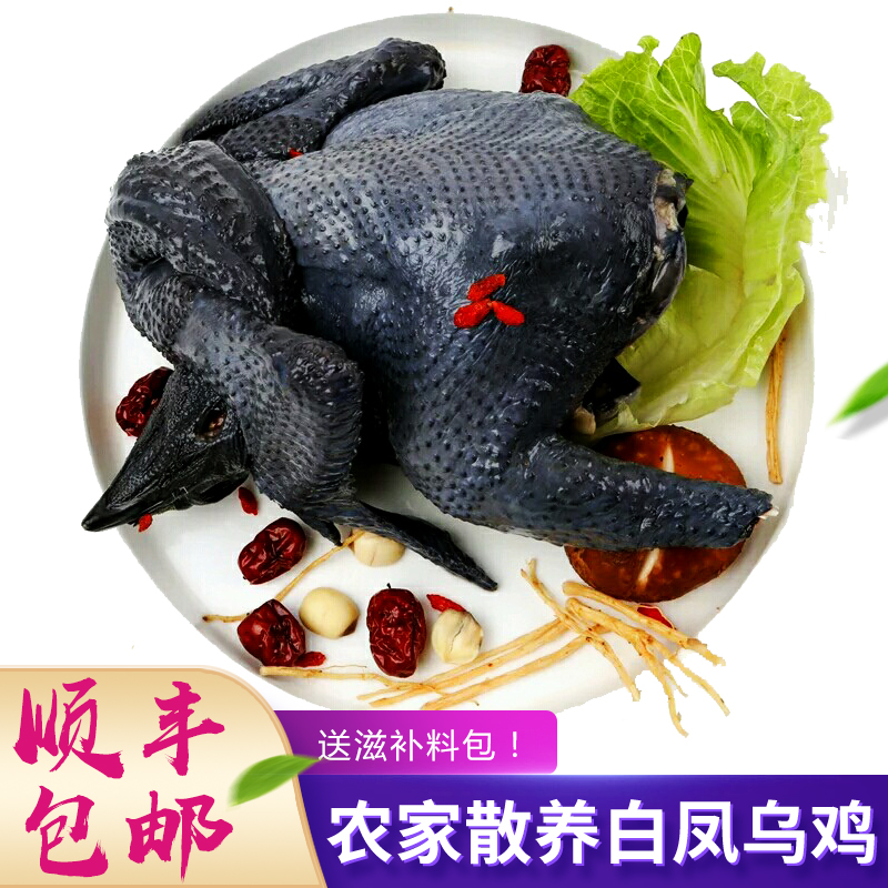[莘县馆] 小憨货 乌鸡 新鲜现杀月子鸡