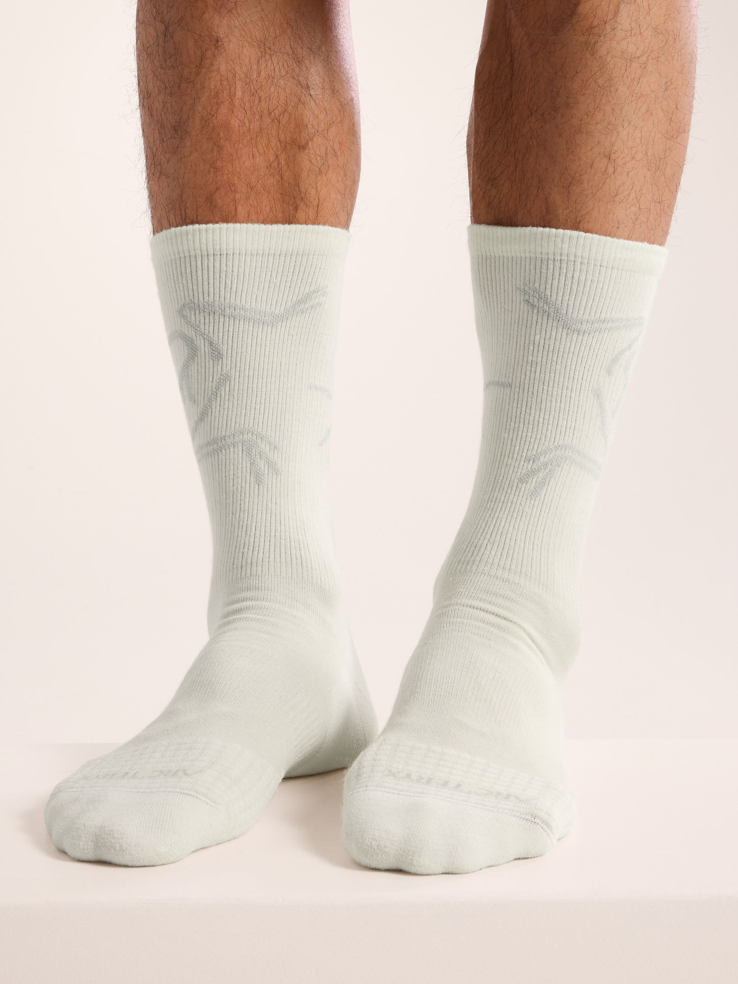 Arcteryx Merino Wool Mid Bird Sock