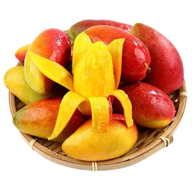 下拉到手15.21！海南礼金贵妃芒（4-4.5斤）