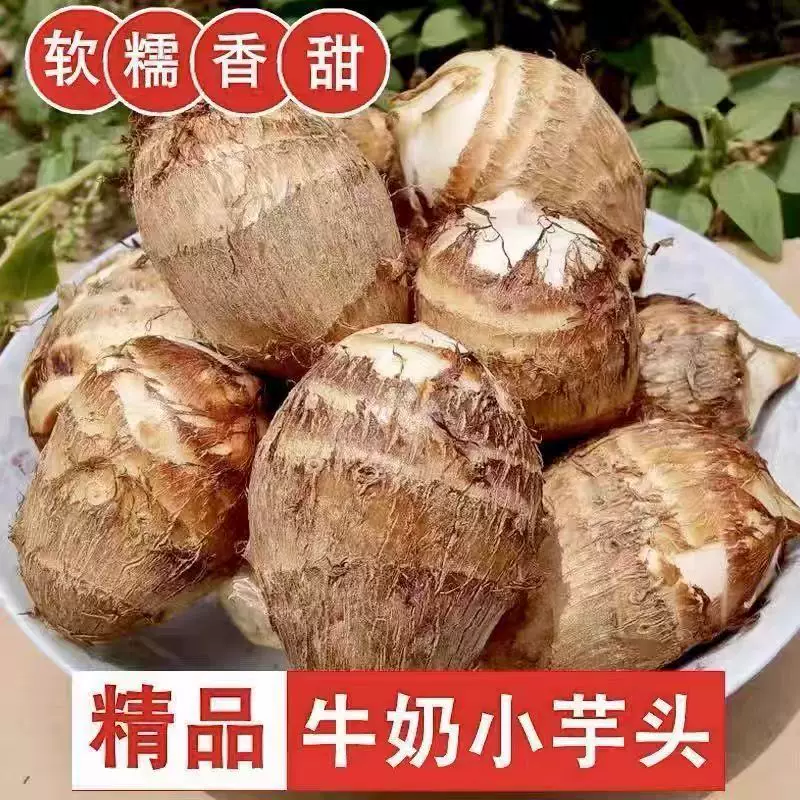 正宗牛奶小芋头新鲜荔浦红芽毛芋头当季芋艿香芋小香芋奶油软糯