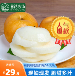 19.9元包邮！鲁禧 山东秋月梨中大果 5斤装