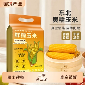 东北黄糯玉米粗粮当季粘黄主食代餐低脂早餐真空香甜软糯健康国货