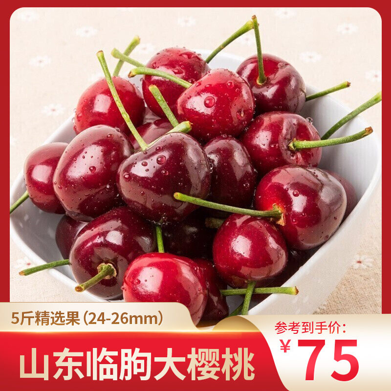 【预售】山东临朐大樱桃 5斤精选果（24-26mm）