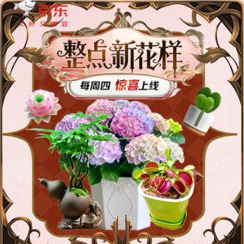 京东 整点新花样 周度活动