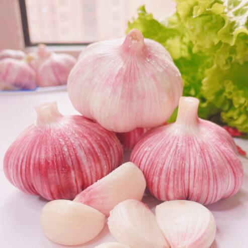 15.8元包邮！山东特级紫皮大蒜5斤