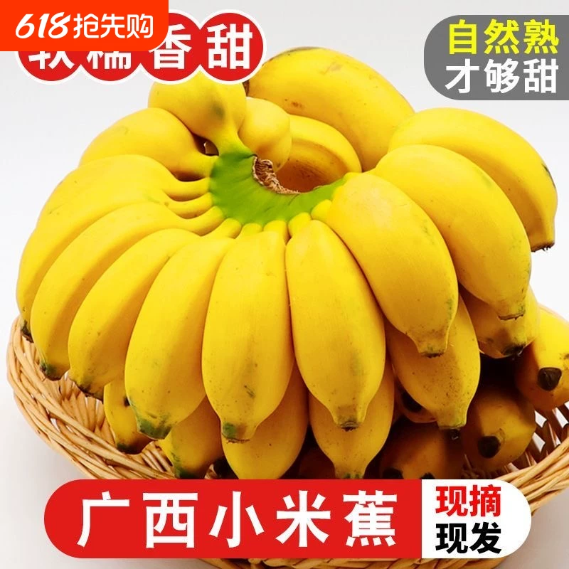 下拉12.5！现摘现发广西小米蕉4.5斤
