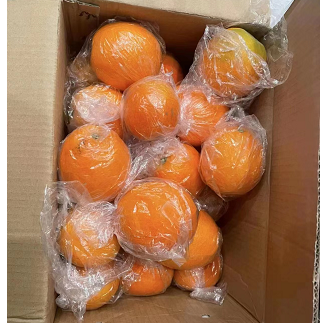 21.99元包邮！9-10斤脐橙 当季新鲜四川高山橙子