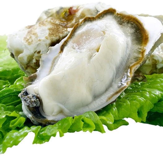 34.33元包邮！贝司令 乳山鲜活生蚝 5斤