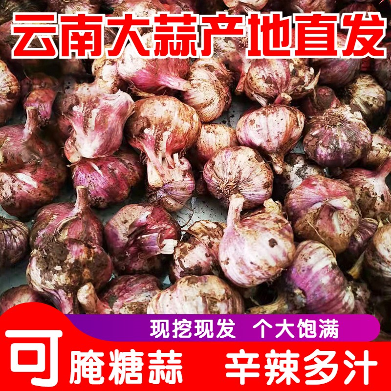 【12.9包邮】南阳农特产馆 新鲜大蒜 3斤装